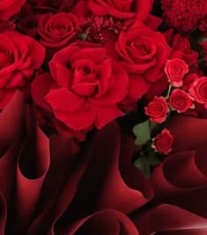 The Crimson Cascade Bouquet photo 4