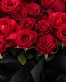 Crimson Grandeur Bouquet photo 3