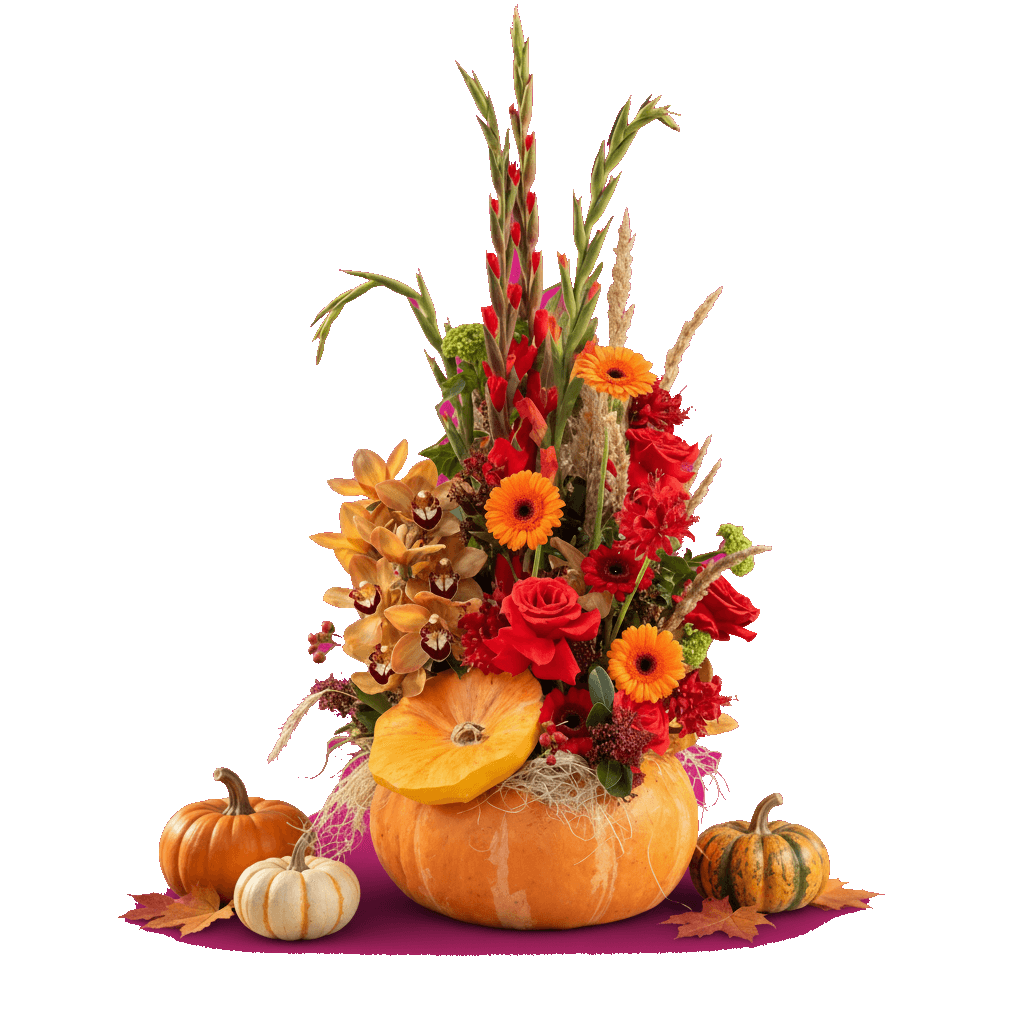 Autumn Harvest Glow photo 1