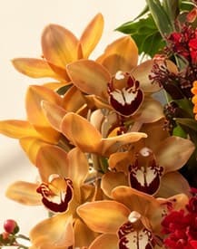 Autumn Harvest Glow photo 3