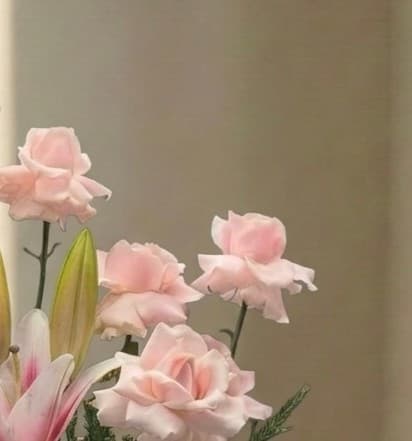 Blushing Serenade photo 4