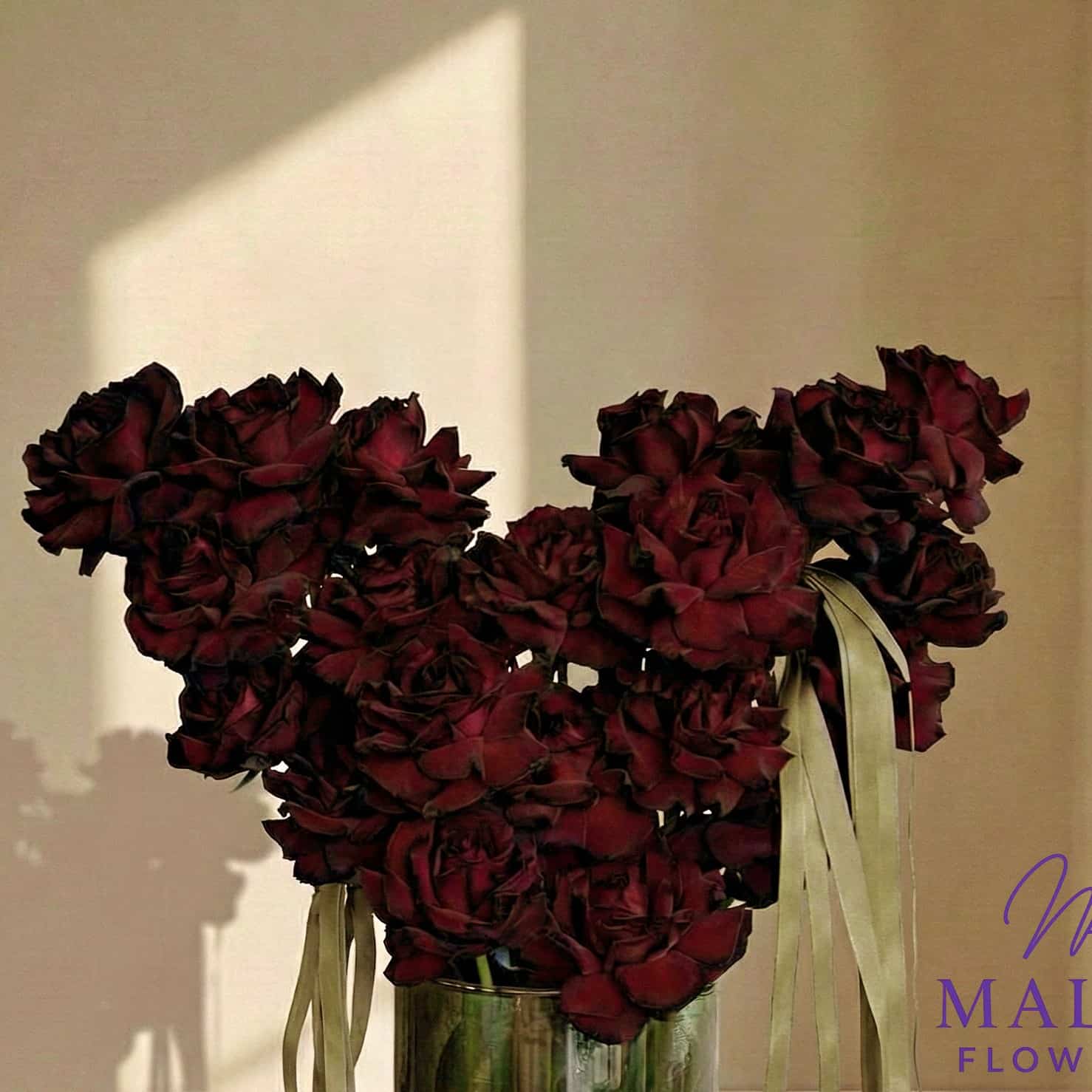Burgundy Dreams photo 2