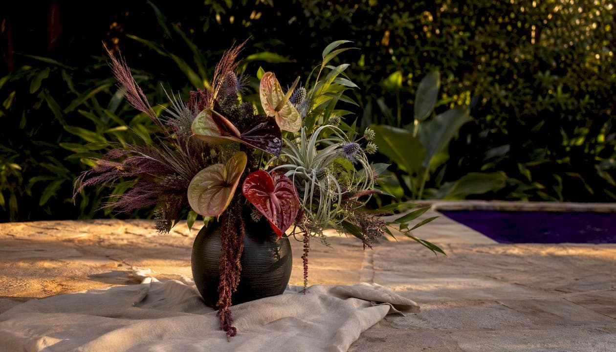 Best Flowers for Men: Bold Picks and How to Choose