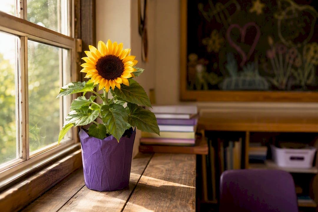 Classroom Friendly Teacher Appreciation Flowers and Note Samples