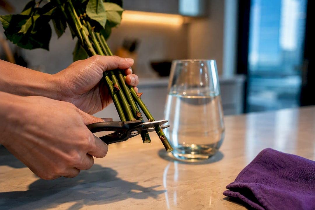 Within the First Hour: Rose Care After Delivery for Vancouver