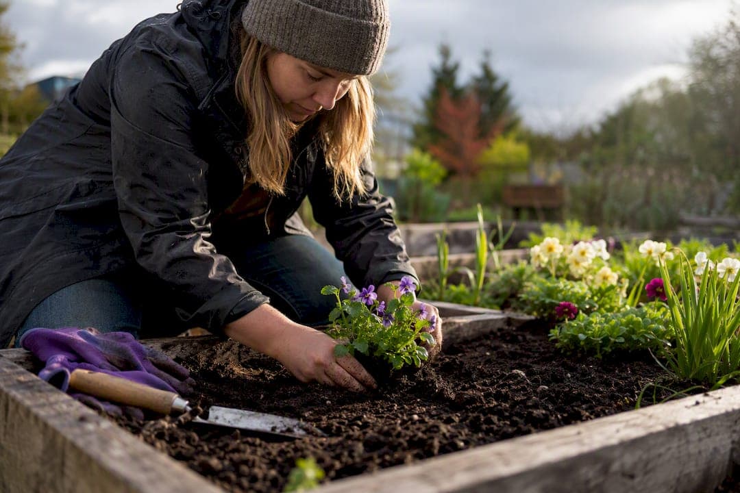274 Frost-Free Days: Vancouver Flowers by Month and When to Plant